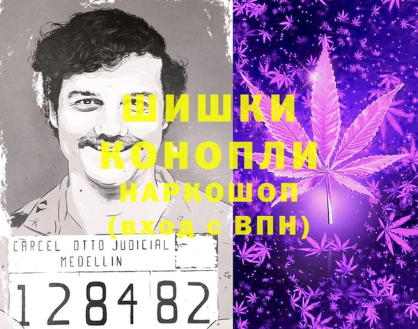 МДПВ Козловка