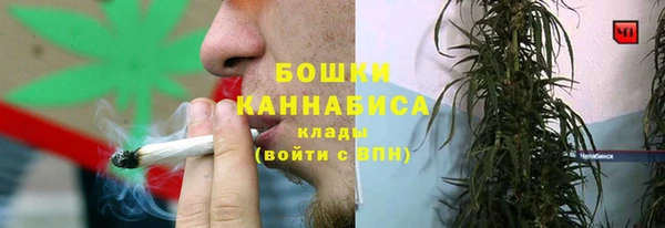 прущая мука Нея