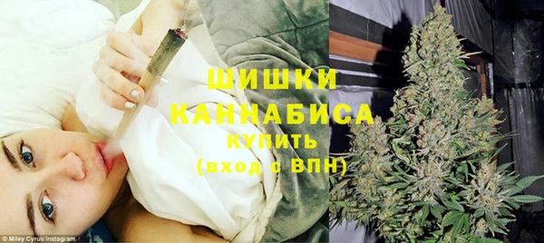 прущая мука Нея