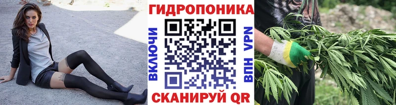дарнет шоп  Наволоки  МАРИХУАНА марихуана 